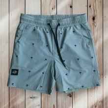 Load image into Gallery viewer, Daily Boardshorts